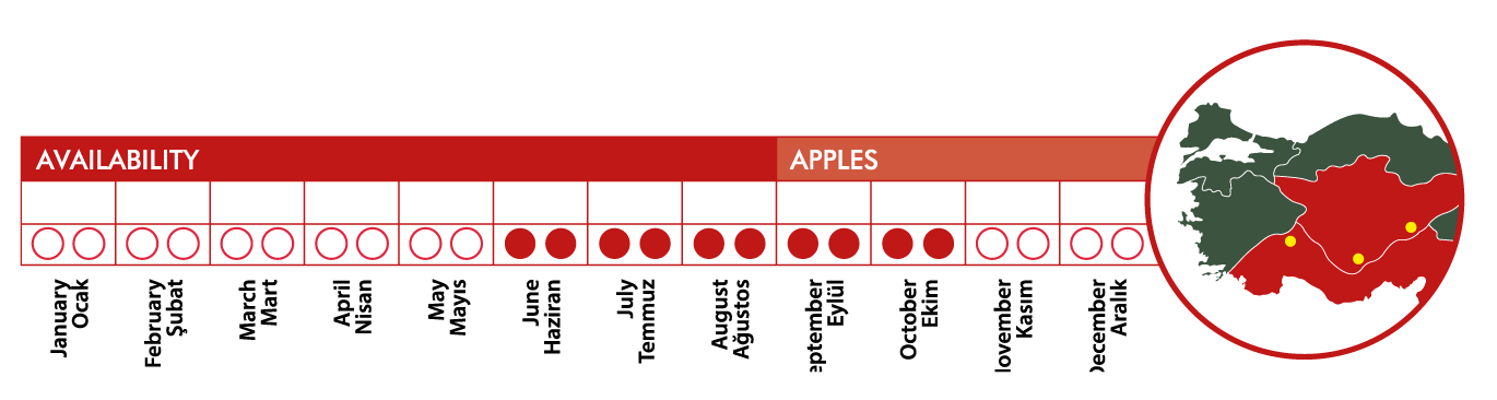 ims tarim elma sezon bilgileri