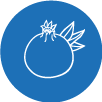nar svg